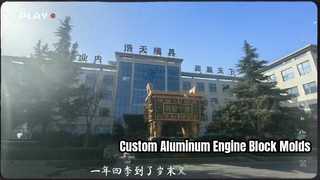 OEM aluminium motorblokvorm voor auto-onderdelen